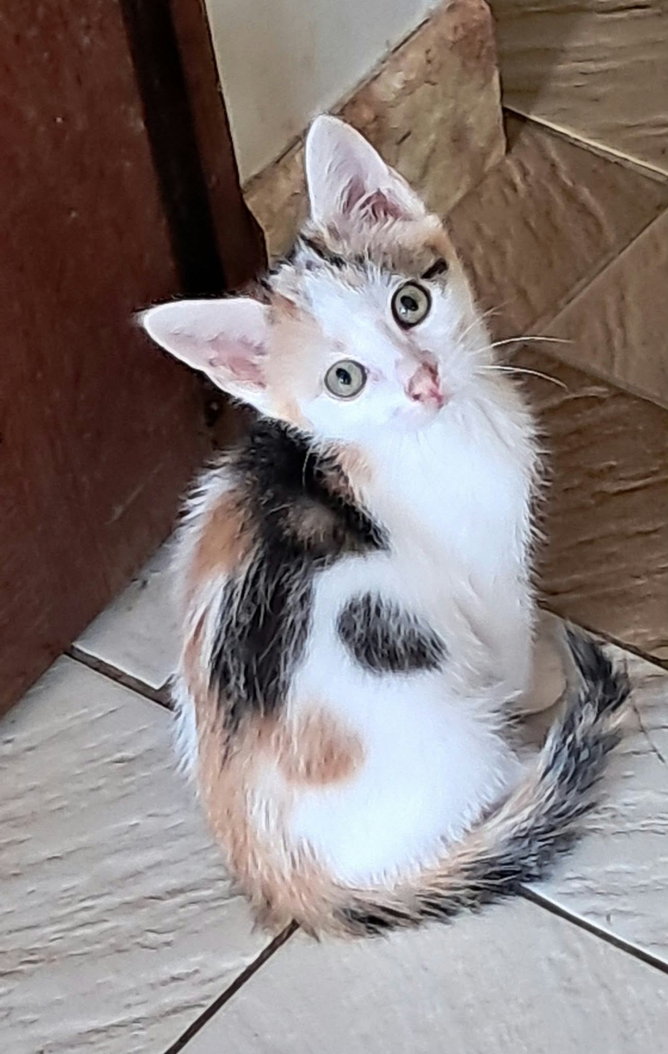 Photo de ELSA